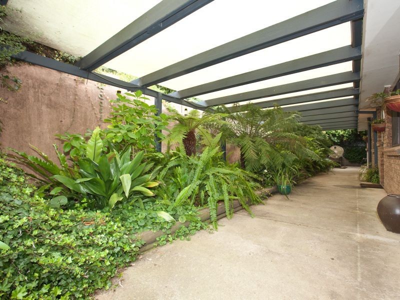 41 Jackie Howe Crescent, Macarthur ACT 2904