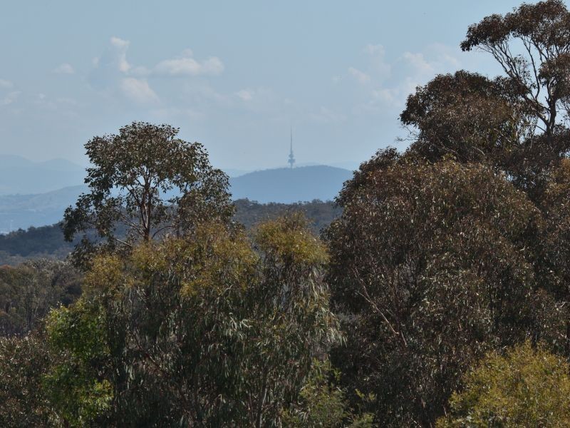 70 Bernallah Road, Carwoola NSW 2620