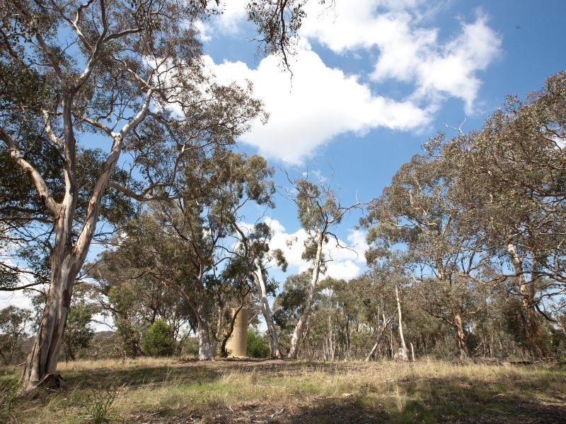 70 Bernallah Road, Carwoola NSW 2620