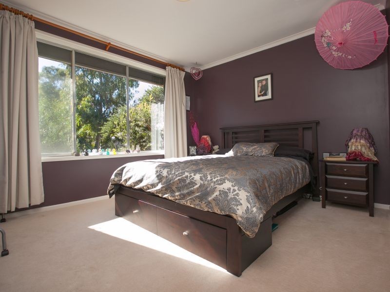 36 Rapanea Street, Rivett ACT 2611