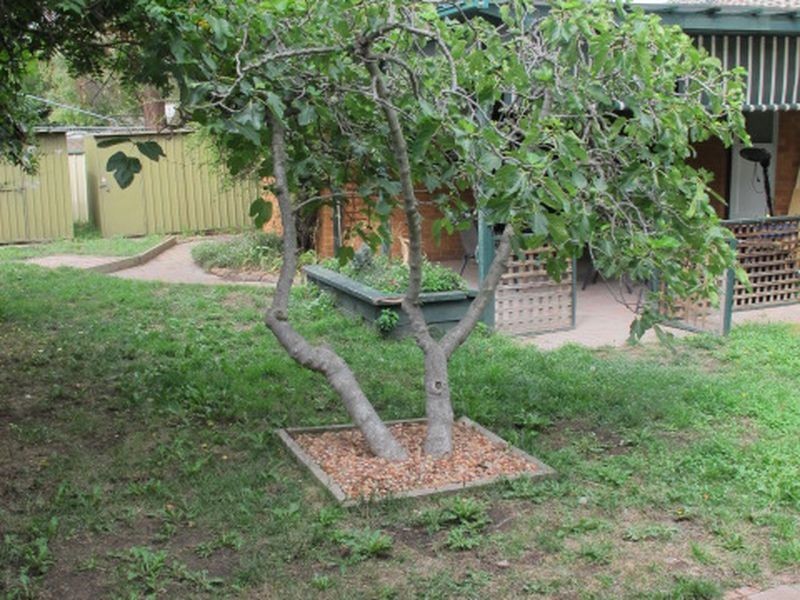 7 Gunning Place, Kambah ACT 2902