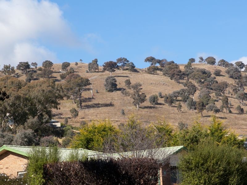 24 Brittlebank Circuit, Banks ACT 2906