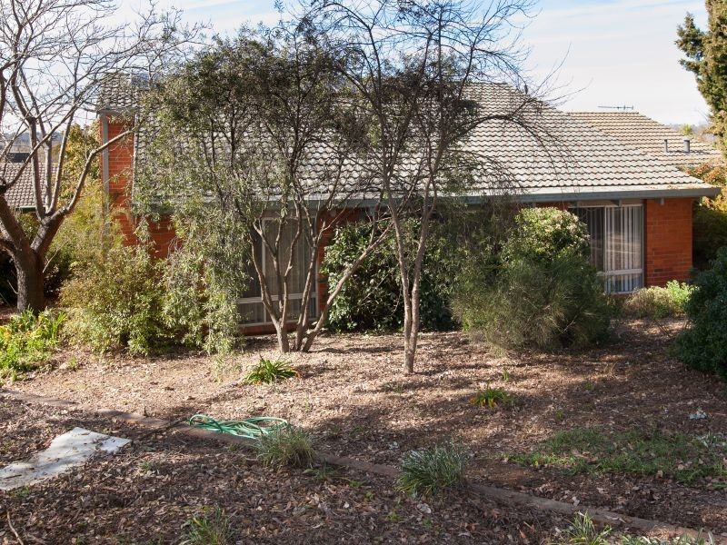 28 Collier Street, Curtin ACT 2605