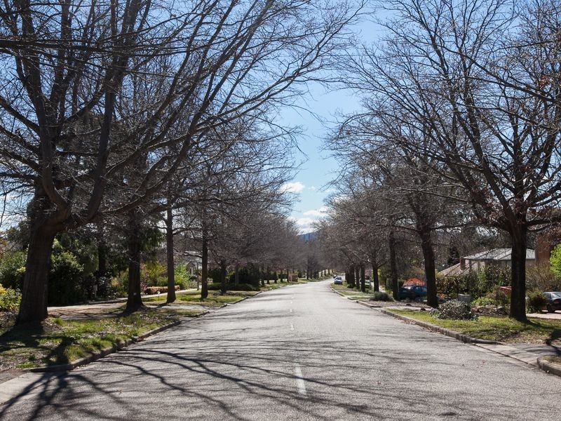 90B La Perouse Street, Griffith ACT 2603