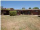 31 Illingworth Street, Wanniassa ACT 2903