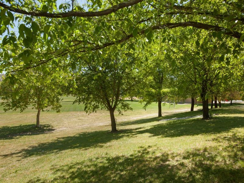 4 Bage Place, Mawson ACT 2607