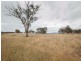 197 Baroona Road, Michelago NSW 2620