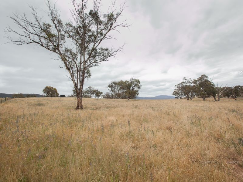 197 Baroona Road, Michelago NSW 2620