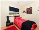 51 Rollston Street, Amaroo ACT 2914