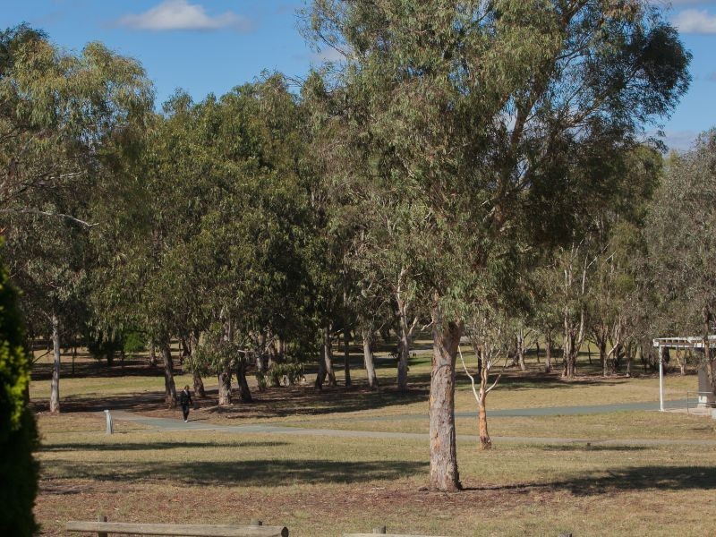 1/4 Clamp Place, Greenway ACT 2900