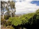 8/26 William Hudson Crescent, Monash ACT 2904
