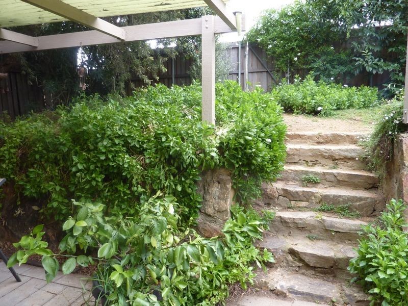 25 Rymill Place, Mawson ACT 2607