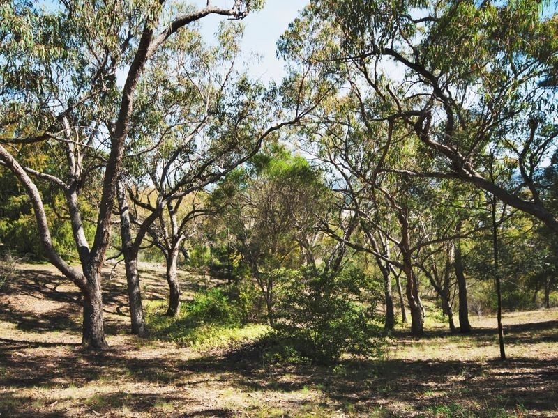 185 Ridgeway Road, Booroomba ACT 2620