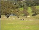 Lot 42 Broadway Road, Jerrawa NSW 2582