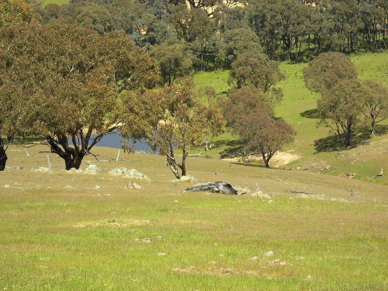 Lot 42 Broadway Road, Jerrawa NSW 2582