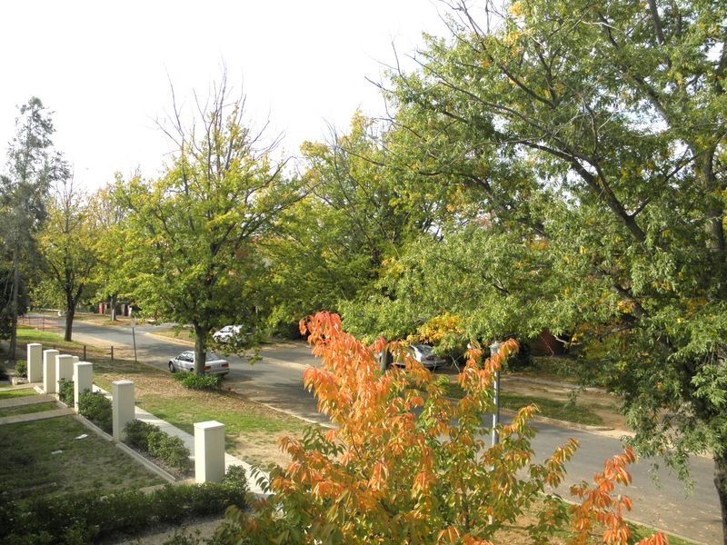 10/20 Condamine Street “Turner Grove, Turner ACT 2612