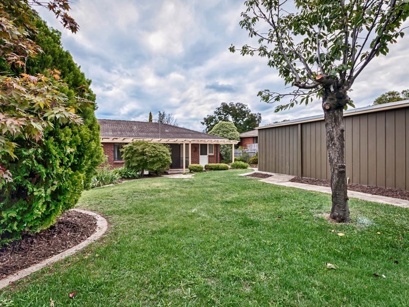 61 Alabaster Street, Monash ACT 2904