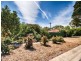 11 Kneeshaw Street, Monash ACT 2904