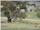 68 Williamsdale Road, Booroomba ACT 2620