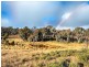 2143 Shannons Flat Road, Cooma NSW 2630