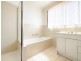 10/166 Clive Steele Avenue, Monash ACT 2904