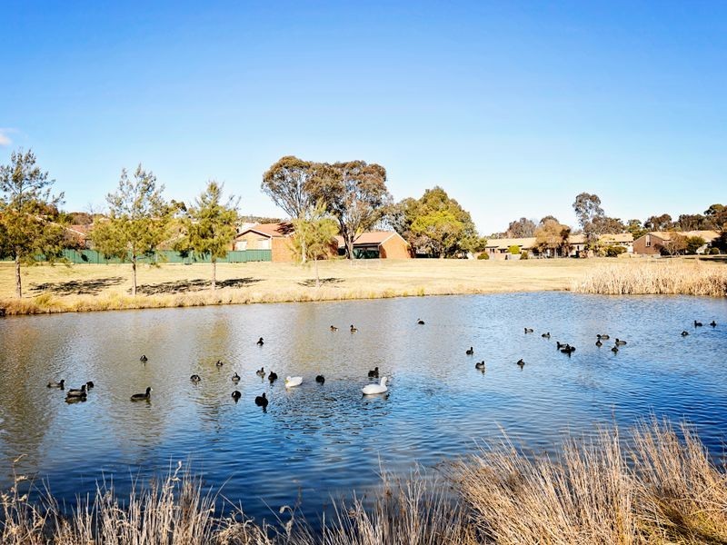1/115 Barr Smith Avenue, Bonython ACT 2905