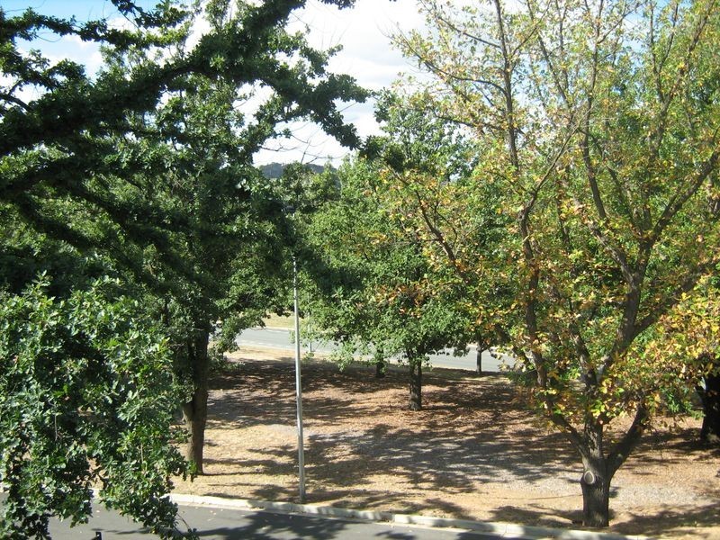 6/5 Bowen Drive, Barton ACT 2600