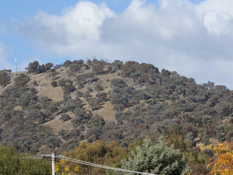 9 Andrew Crescent, Calwell ACT 2905