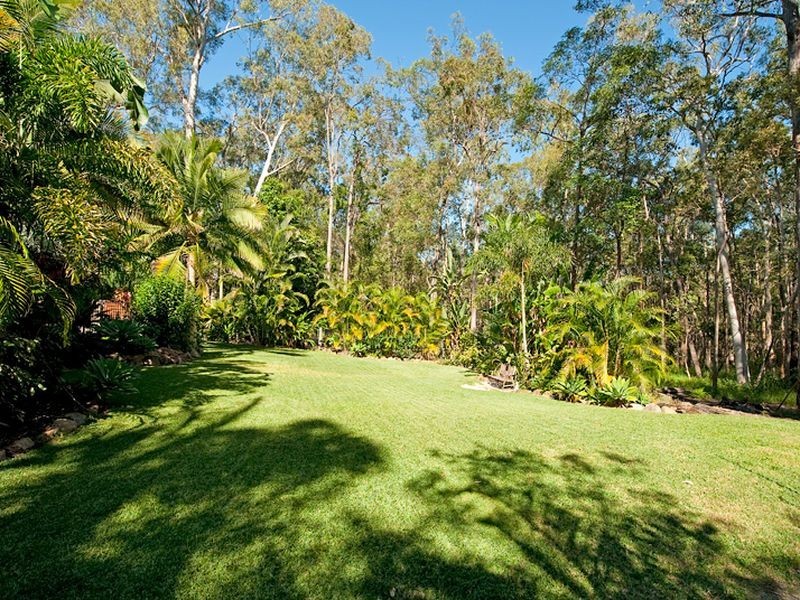 50 Blackbutt Court, Burpengary QLD 4505