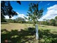 201 Narangba Road, Kurwongbah QLD 4503