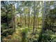 75 Whiteside Road, Whiteside QLD 4503