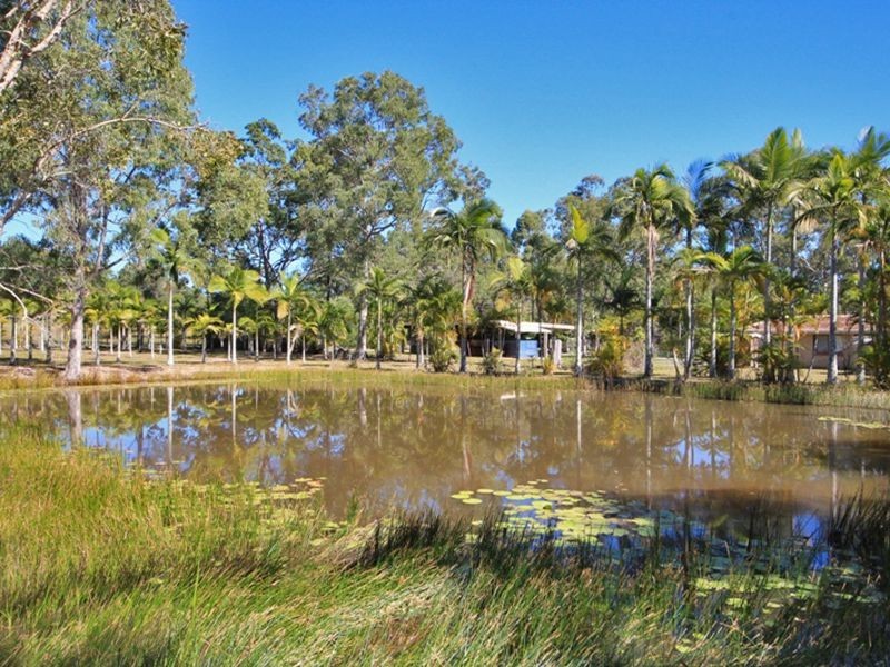 162 McPhail Road, Narangba QLD 4504
