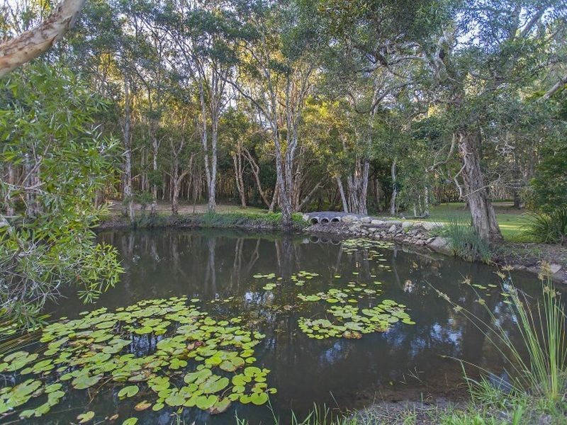 17 Callaghan Road, Narangba QLD 4504