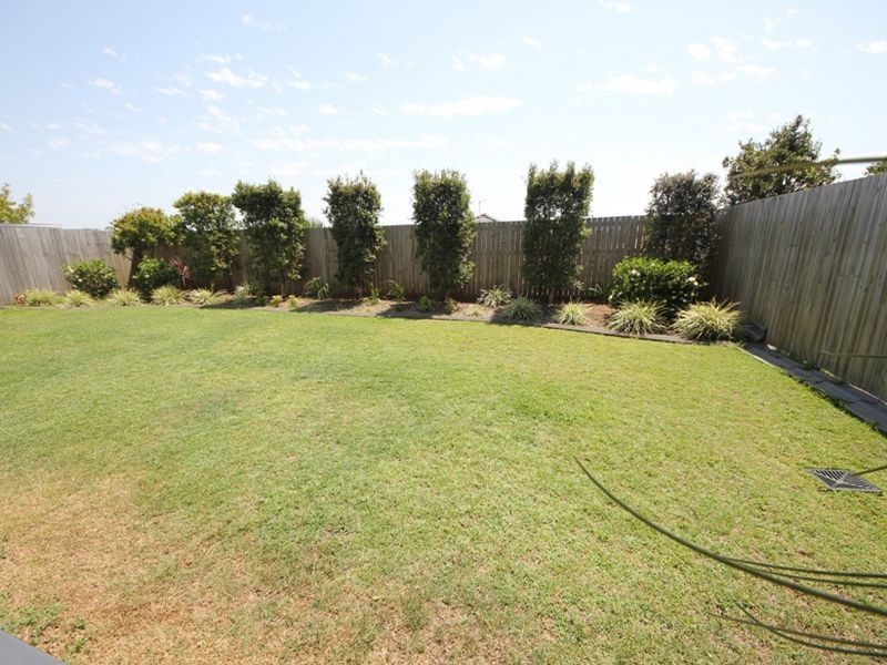Griffin QLD 4503