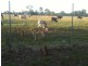 Bald Hills QLD 4036