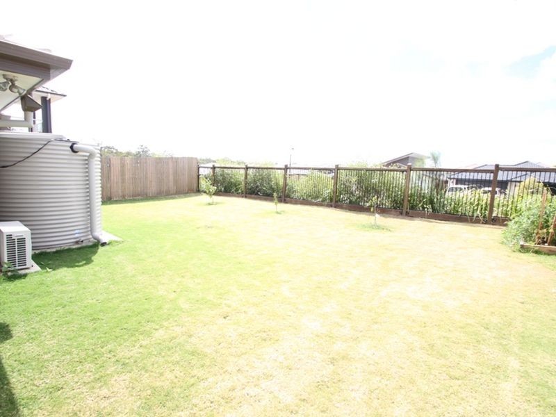 Griffin QLD 4503