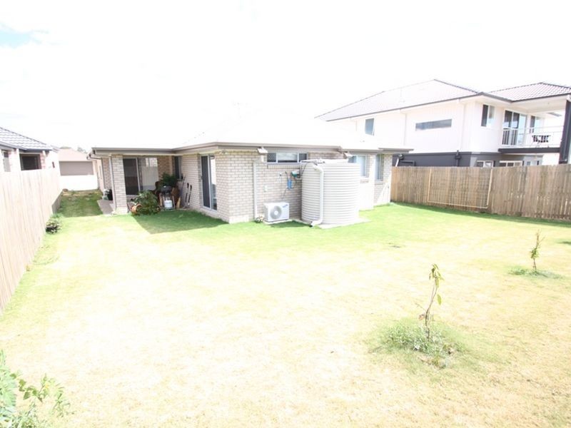 Griffin QLD 4503