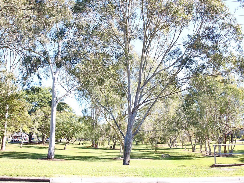 6 Ilinga Place, Kallangur QLD 4503