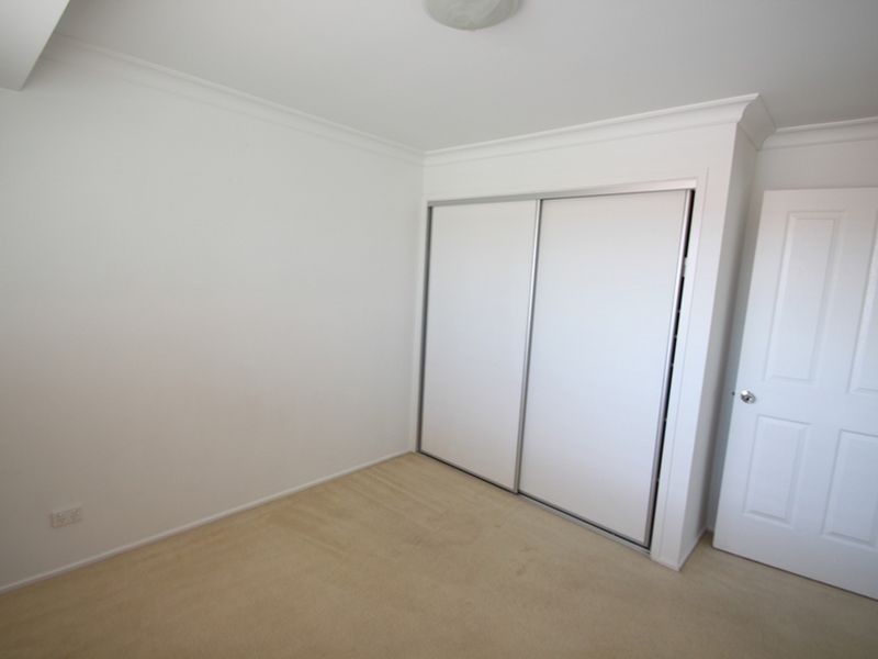 Griffin QLD 4503