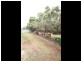Griffin QLD 4503