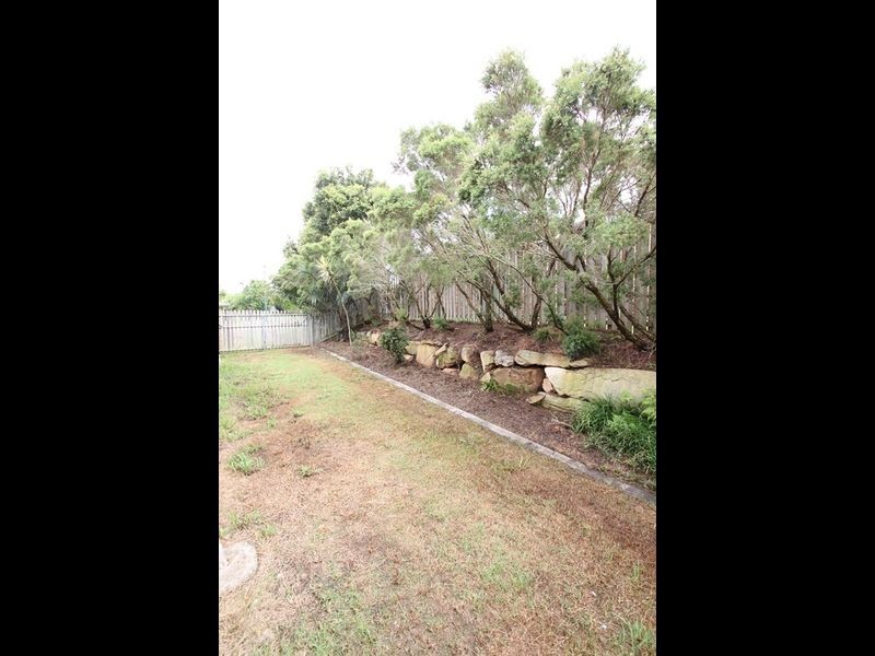 Griffin QLD 4503