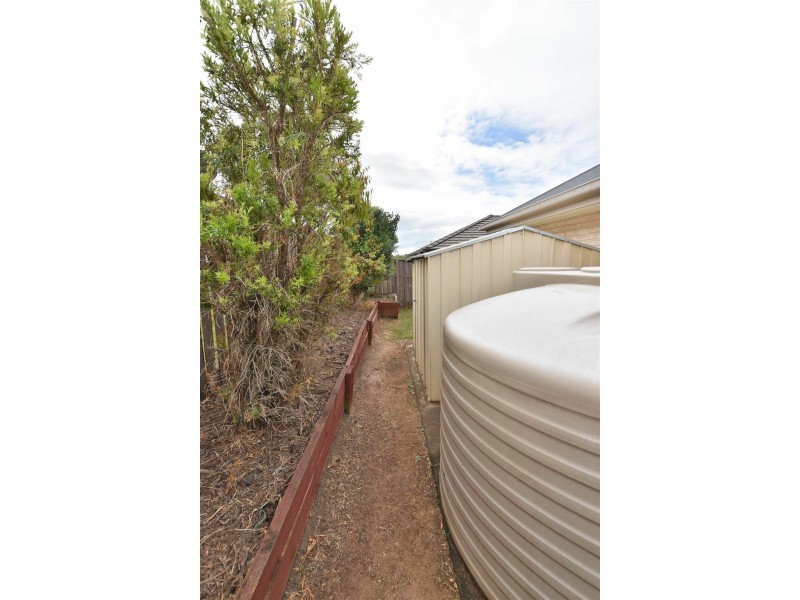 17 Sage Parade, Griffin QLD 4503