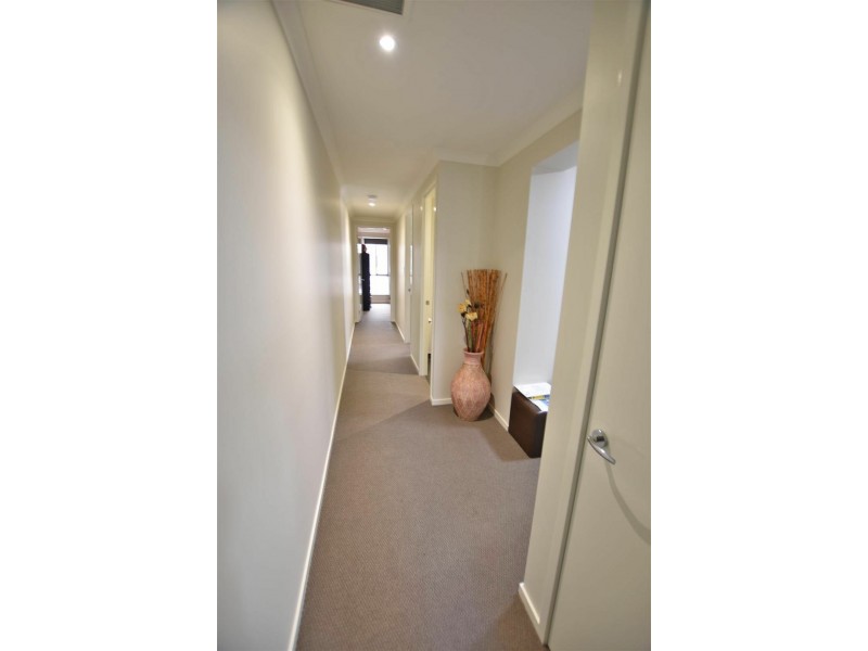 12 Betzel Court, Mango Hill QLD 4509