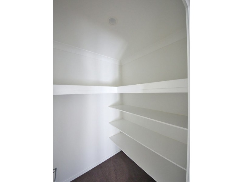 44 Tree Ring Circuit, Mango Hill QLD 4509