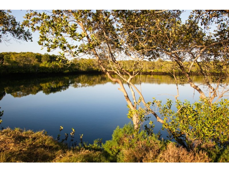 41 Nottinghill Road, Murrumba Downs QLD 4503