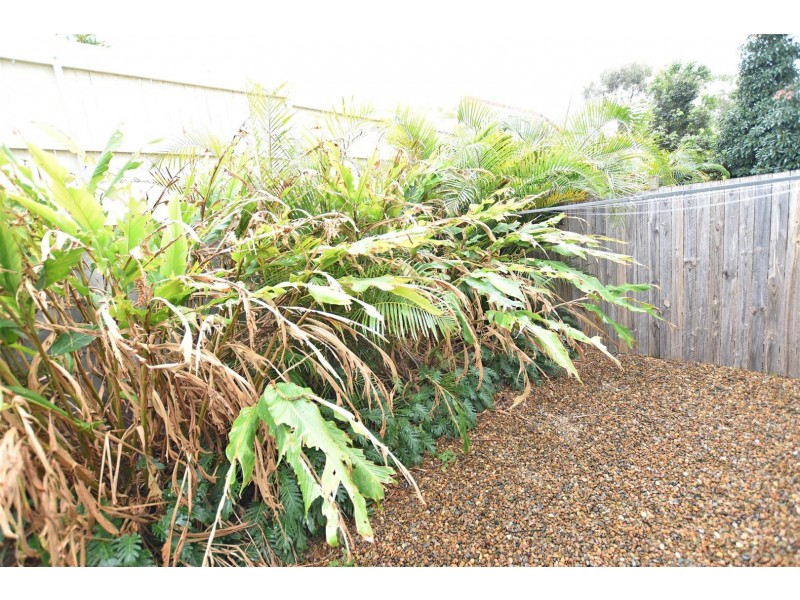 Unit 35/21 Rensburg Street, Brighton QLD 4017