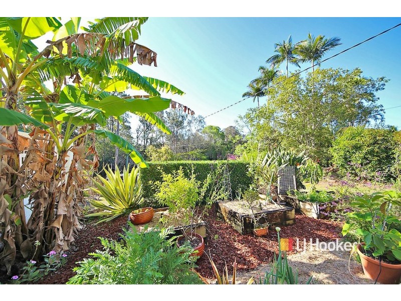 10 Frenchs Road, Petrie QLD 4502