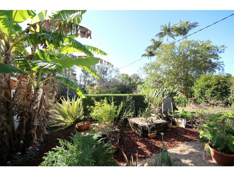 10 Frenchs Road, Petrie QLD 4502