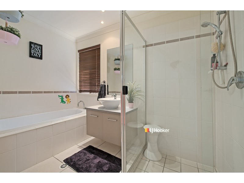 15 Pratincole Close, Mango Hill QLD 4509