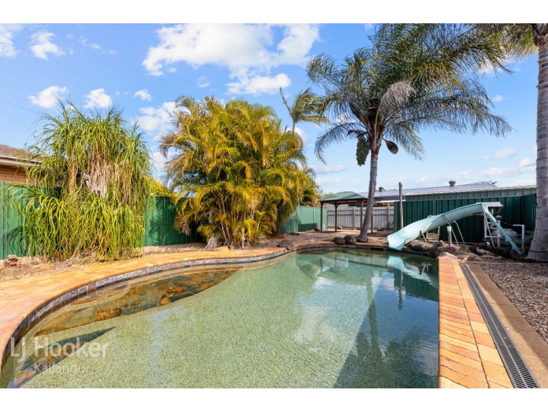 39 Ladybird Street, Kallangur QLD 4503